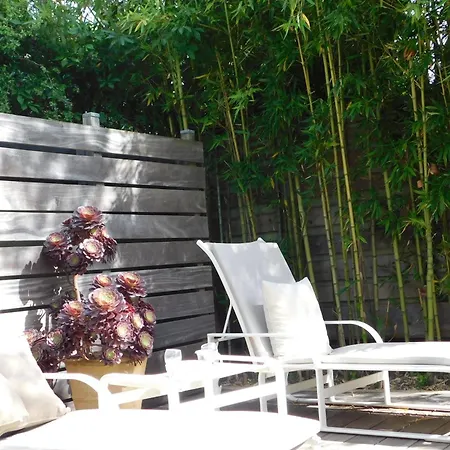 Appartement Provencal Oasis - T2 