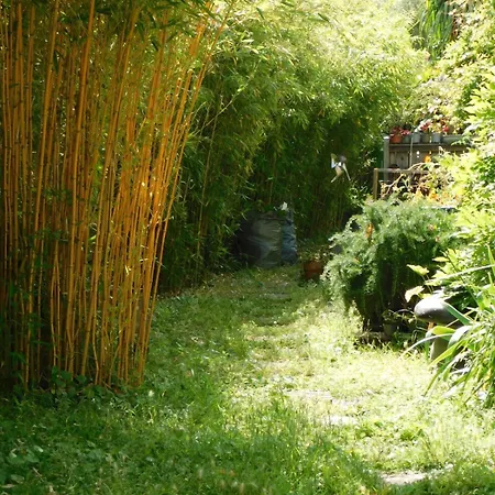 Provencal Oasis - T2 