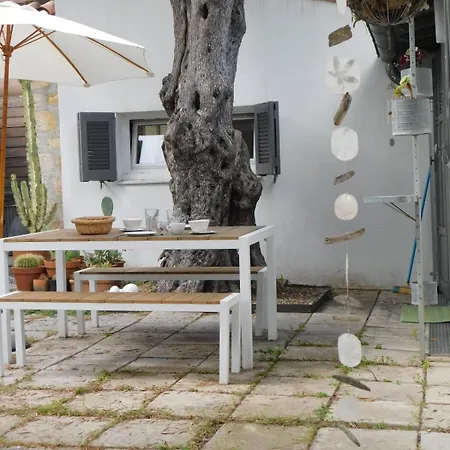 Appartement Provencal Oasis - T2 