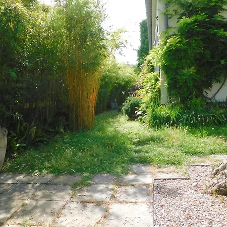 Appartement Provencal Oasis - T2 