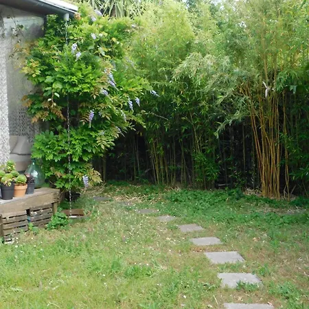 Provencal Oasis - T2 