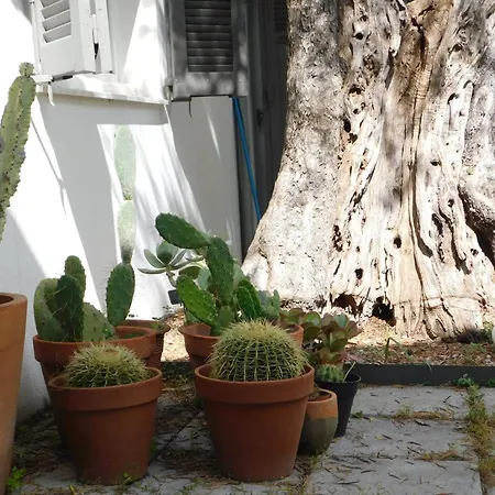 Appartement Provencal Oasis - T2 