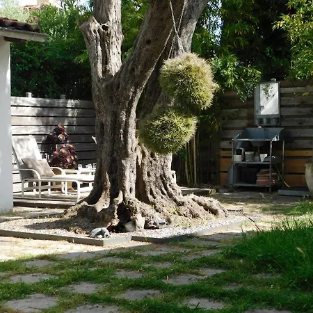 Provencal Oasis - T2 