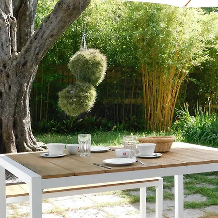 Provencal Oasis - T2 